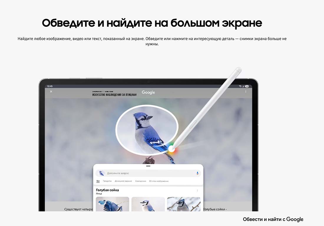galaxy-tab-s10-fe в Липецке galaxy-tab-s10-fe