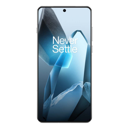 OnePlus 13 (2024) 24/1Tb Blue, синий